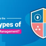 What Are the 4 Types of Risk Management?