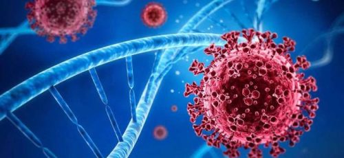 ImageForNews_715073_16536513276529443